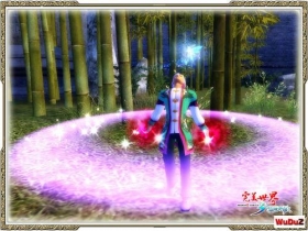 完美世界服务器会仙魔和BOSS技能的BB